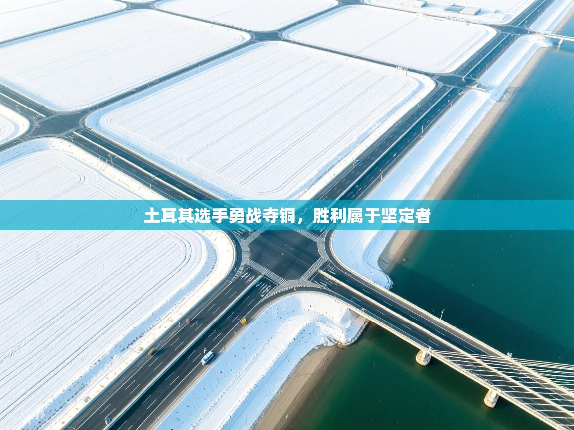 土耳其选手勇战夺铜，胜利属于坚定者  第1张