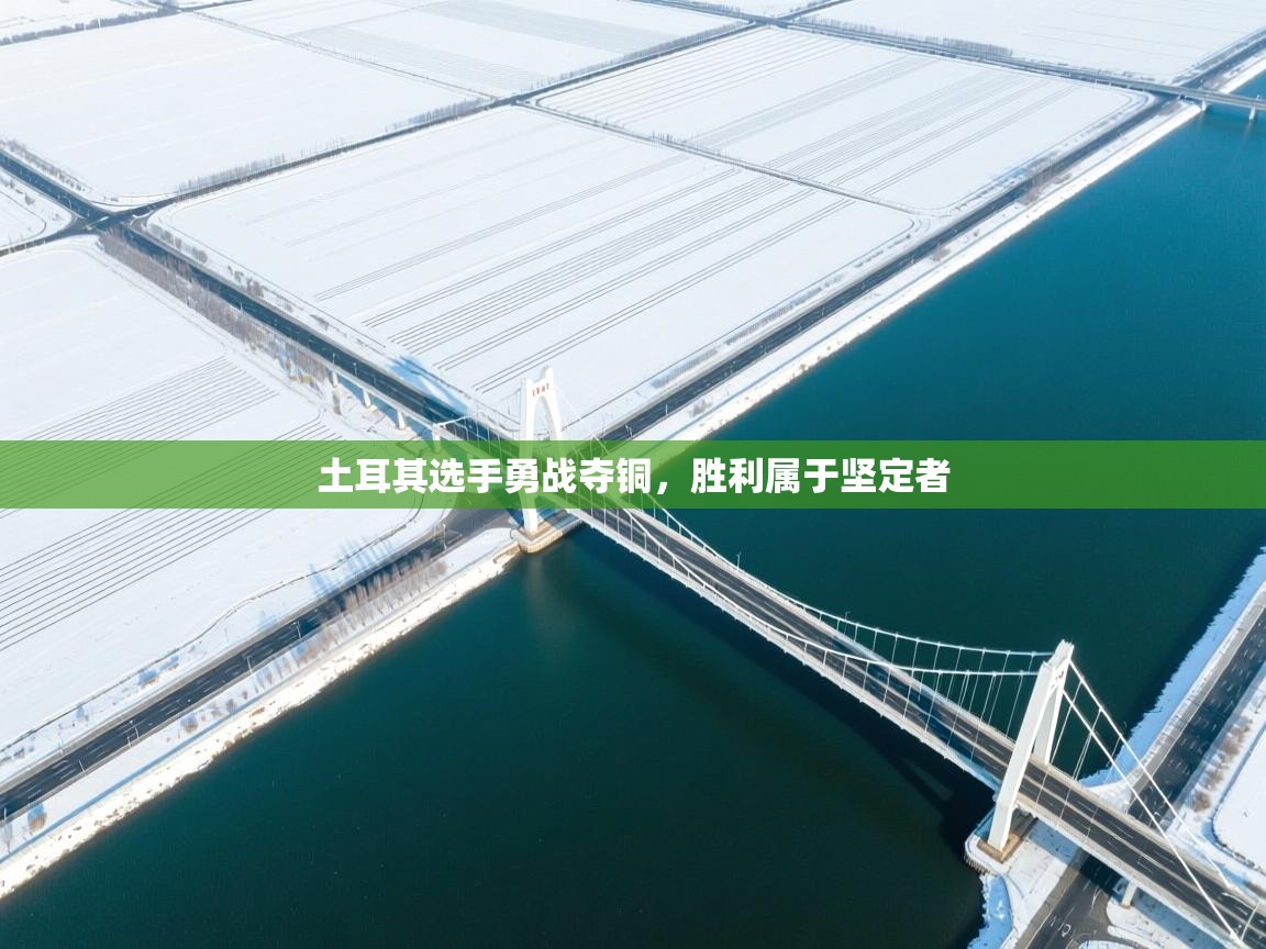 土耳其选手勇战夺铜，胜利属于坚定者  第2张